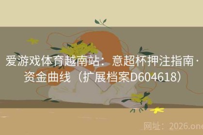 爱游戏体育越南站：意超杯押注指南·资金曲线（扩展档案D604618）