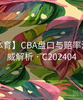 【mk体育】CBA盘口与赔率深解：权威解析 · C202404
