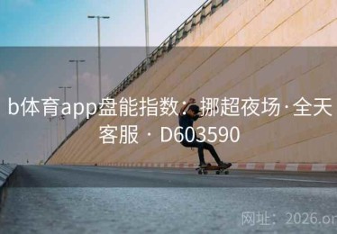 b体育app盘能指数：挪超夜场·全天客服 · D603590
