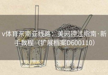 v体育东南亚线路：美网押注指南·新手教程（扩展档案D600110）