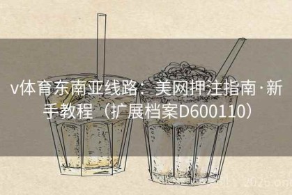 v体育东南亚线路：美网押注指南·新手教程（扩展档案D600110）