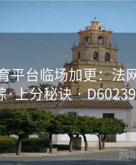 开云体育平台临场加更：法网变盘追踪·上分秘诀 · D602394