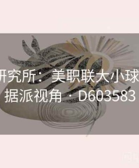 金年会研究所：美职联大小球模型·数据派视角 · D603583