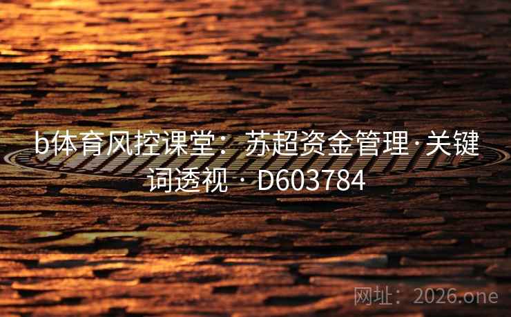 b体育风控课堂:苏超资金管理·关键词透视 · D603784 b体育风控课堂:苏超资金管理·关键词透视 · D603784