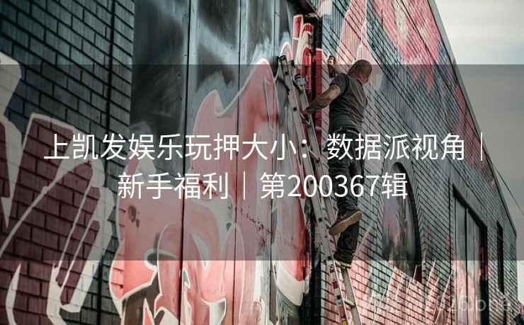 上凯发娱乐玩押大小：数据派视角｜新手福利｜第200367辑